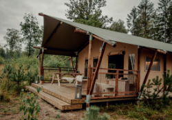 sunairlodge-woodlodges-38-vignette
